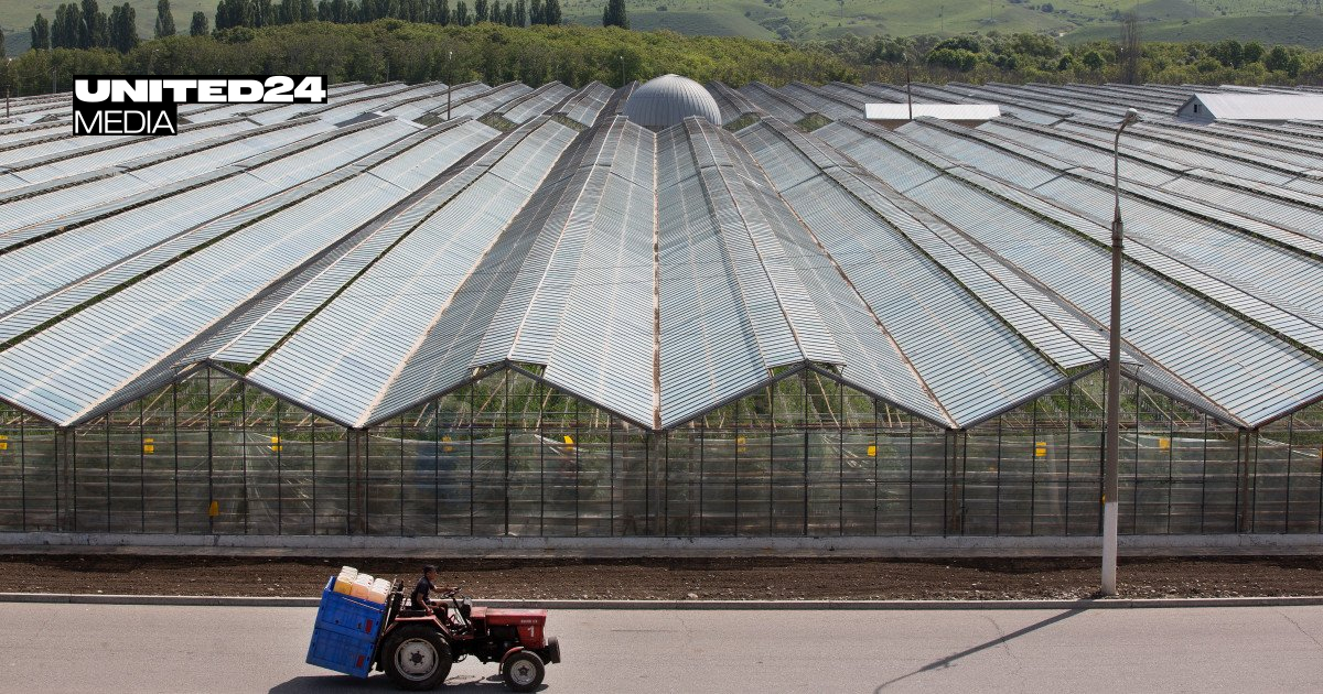 Russia’s Farm Sector Slides Into Eight-Year Low Despite Kremlin Harvest Optimism