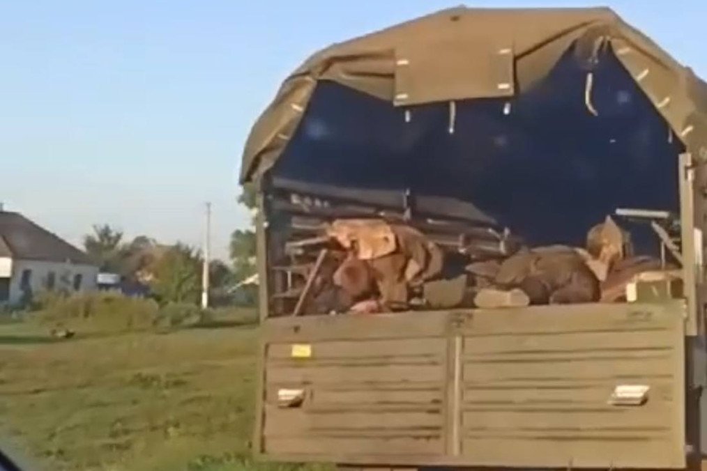 Footage Emerges of Allegedly Destroyed Russian Convoy in Kursk Region