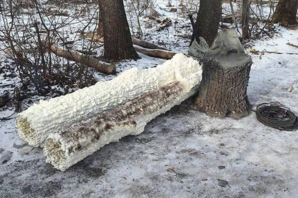 A tree-shaped decoy used to conceal Russian antennas, February 2026. (Source: Serhii “Flash”)