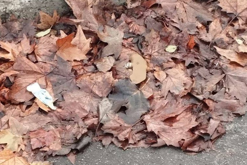 Russian PFM-1 “butterfly” mine lies under the leaves in Kherson, Ukraine on November 13, 2025. (Source: Regional Administration of Kherson)