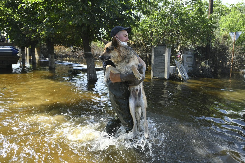 Russia Has Committed Over 7,000 Documented Environmental Crimes in Ukraine