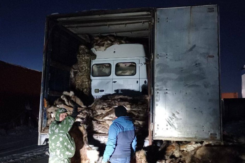 Russia Sends 2,000 Reindeer Hides to Frontline Troops Amid Mounting Winter Shortages