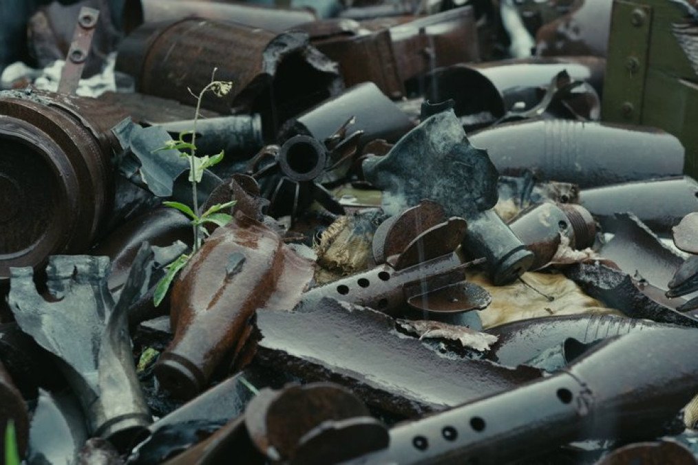 Ukraine’s “Divia” Documentary Brings Nature, the War’s Hidden Victim, to the UN Climate Summit Sill from the “Divia” film. (Source: Suspilne Culture)