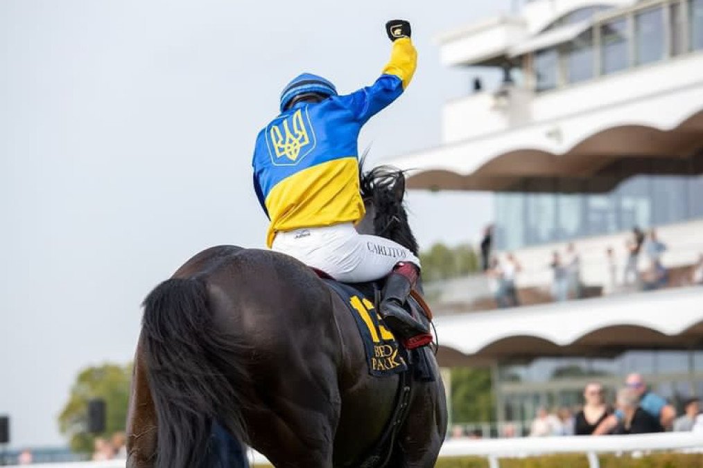 The Horse That Helped Build a Bomb Shelter in Ukraine