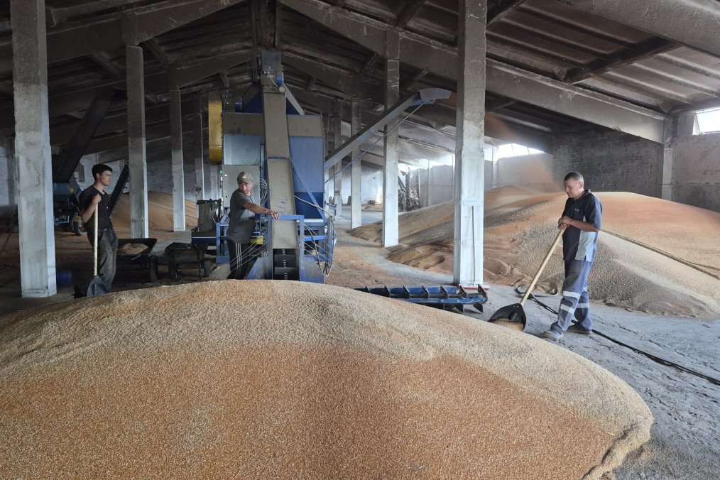 Workers shovel piles of grain in a granary on August 25, 2026 in Sumy region, Ukraine. Illustrative photo. (Source: Getty Images)