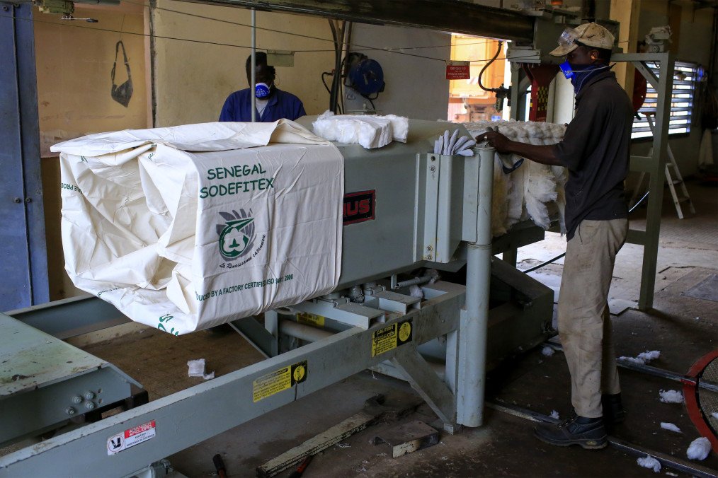 A Sodefitex worker compacts cotton through a tramper machine and into sacks at distribution warehouses in Velingara, Senegal, on Friday, Jan. 16, 2015. Illustrative photo. (Source: Getty Images)