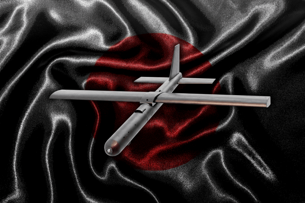 Illustrative image. Terra A2 interceptor drone. (Source: UNITED24 Media/Oleksandr Manukians) Illustrative image. Terra A2 interceptor drone. (Source: UNITED24 Media/Oleksandr Manukians)