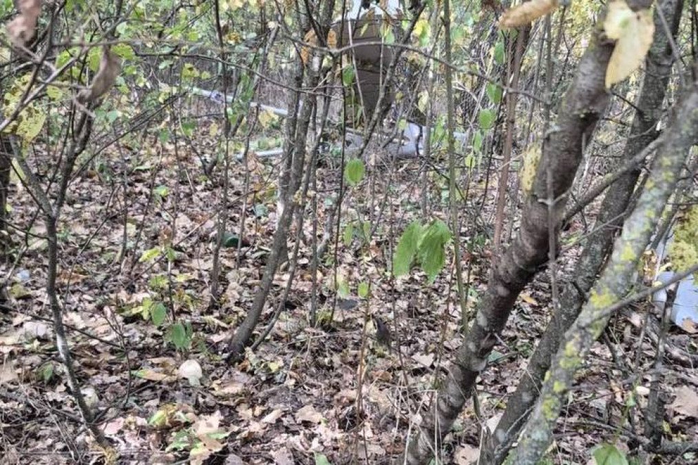 Wooded area near the village of Geamăna, Moldova, where a suspected drone crashed and exploded. (Source: Poliția Republicii Moldova) Wooded area near the village of Geamăna, Moldova, where a suspected drone crashed and exploded. (Source: Poliția Republicii Moldova)