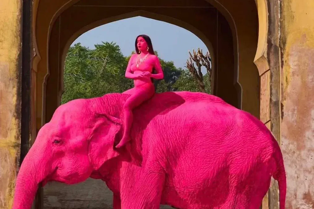 The photoshoot of Russian photographer Yulia Buruleva with a painted elephant. (Source: Yulia Buruleva/Instagram)