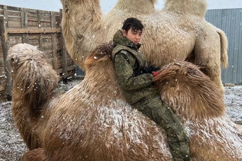 Rescatan un camello de un sitio ruso invadido; Ucrania captura a un prisionero de guerra inesperado (Video)