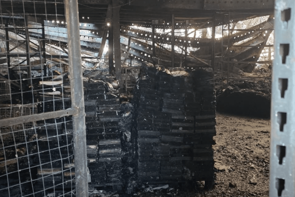 Burned stacks of books inside the Ranok publishing warehouse in Kharkiv after a Russian strike on August 1, 2026. (Source: Yuliya Vernyhora/Instagram) Burned stacks of books inside the Ranok publishing warehouse in Kharkiv after a Russian strike on August 1, 2026. (Source: Yuliya Vernyhora/Instagram)
