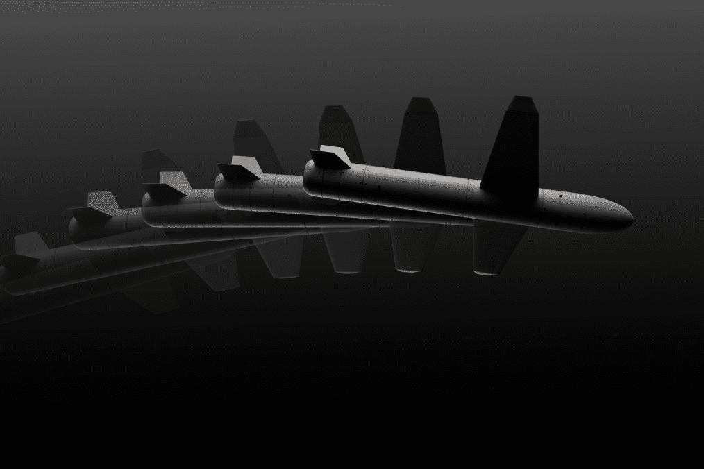 Illustrative image. Ukrainian-made rocket drone Palianytsia. (Source: UNITED24 Media)