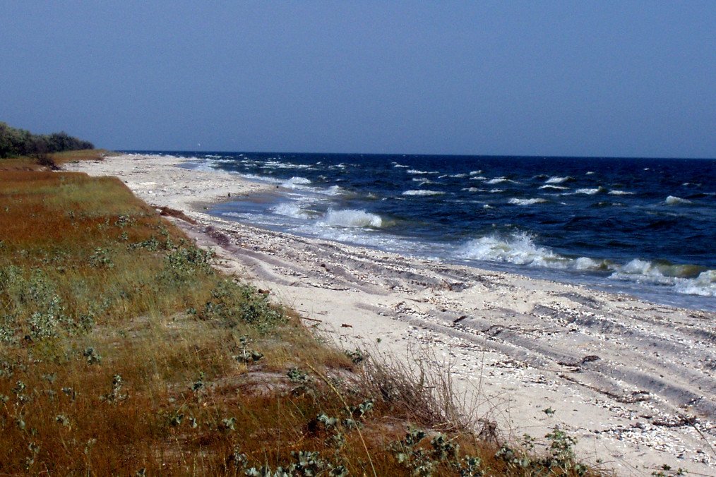The Kinburn Spit on Ukraine’s Black Sea coast, a narrow peninsula at the mouth of the Dnipro-Buh estuary, remains a strategically important area contested by Ukrainian and Russian forces. (Source: Wikimedia Commons) The Kinburn Spit on Ukraine’s Black Sea coast, a narrow peninsula at the mouth of the Dnipro-Buh estuary, remains a strategically important area contested by Ukrainian and Russian forces. (Source: Wikimedia Commons)