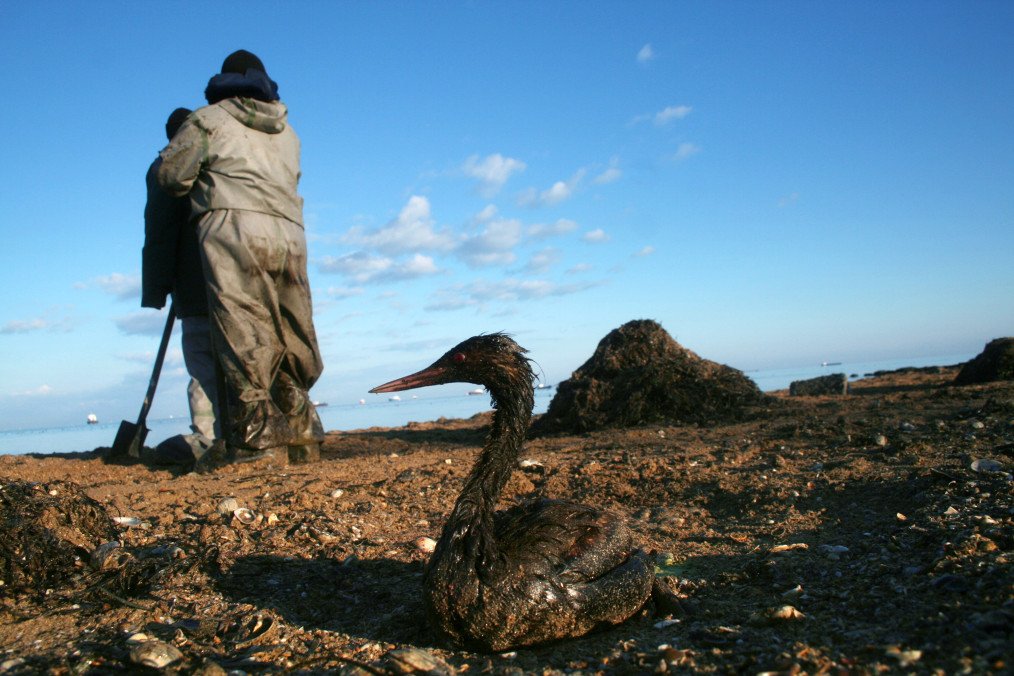 Massive Russian Oil Spill Spreads Across Black Sea, Threatens Crimea’s Coast Massive Russian Oil Spill Spreads Across Black Sea, Threatens Crimea’s Coast