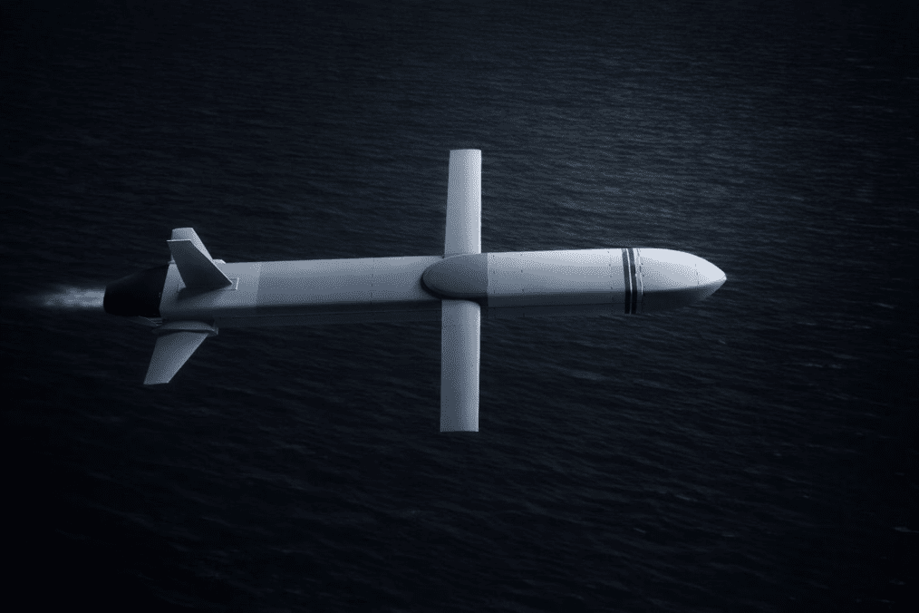 Illustrative render of the Ruta cruise missile. (Source: UNITED24 Media) Illustrative render of the Ruta cruise missile. (Source: UNITED24 Media)