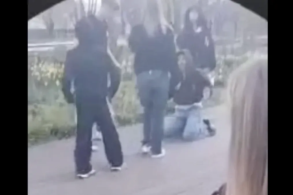 Scuffle involving a Ukrainian teenager in Olsztyn. (Source: Screenshot from the video)