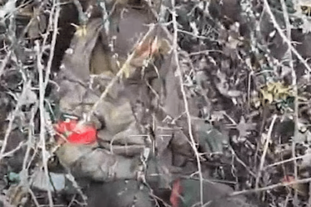 Russian soldier moments before being killed by a Ukrainian drone strike, April 2026. (Source: 71st Air Assault Brigade) Russian soldier moments before being killed by a Ukrainian drone strike, April 2026. (Source: 71st Air Assault Brigade)