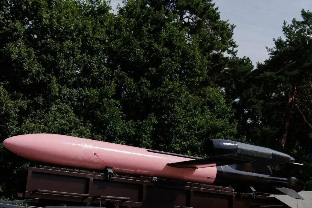 A Ukrainian-made FP-5 Flamingo cruise missile painted in pink and black sits on a launcher during a public display. (Source: TSU) A Ukrainian-made FP-5 Flamingo cruise missile painted in pink and black sits on a launcher during a public display. (Source: TSU)