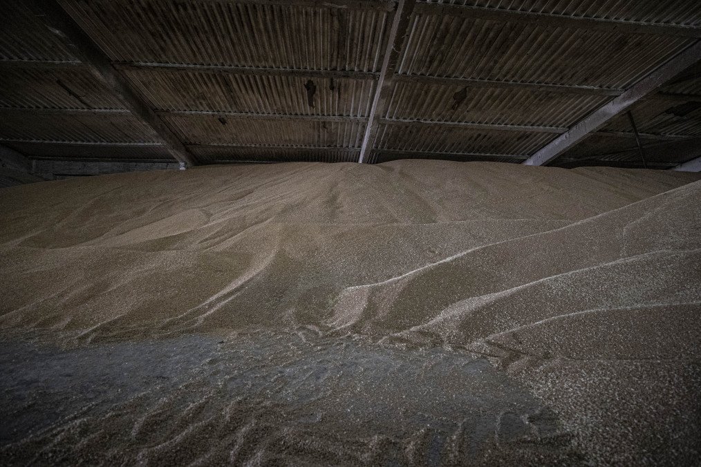 A general view of the grain warehouse in Odesa, Ukraine on July 31, 2022. (Source: Getty Images)