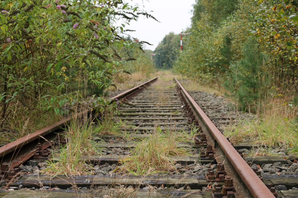 Belgium, Germany and Netherlands Push to Reopen Historic Iron Rhine Railway for NATO Mobility