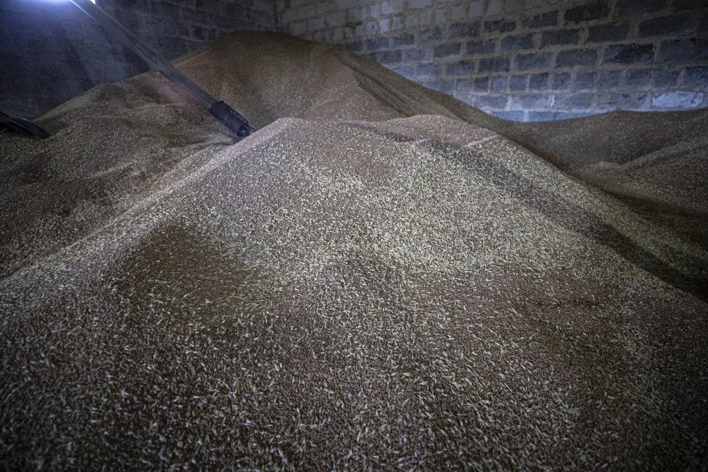 Illustrative image of wheat processing in Odesa amid Russia’s war against Ukraine. (Source: Getty Images)