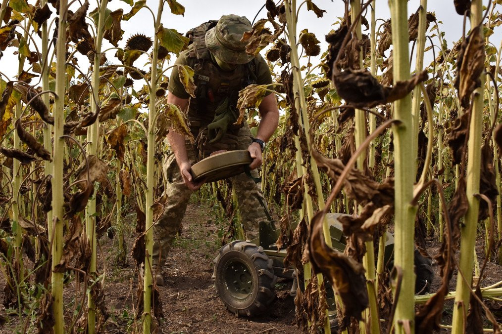 Ukraine Seeks Global Support to Clear Landmines, as 25% of Its Territory Remains Contaminated