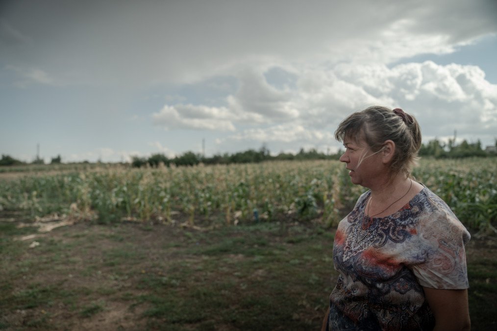 Kherson Region Farmers Face Soviet-Style Harvest Seizures Under Russian Occupation