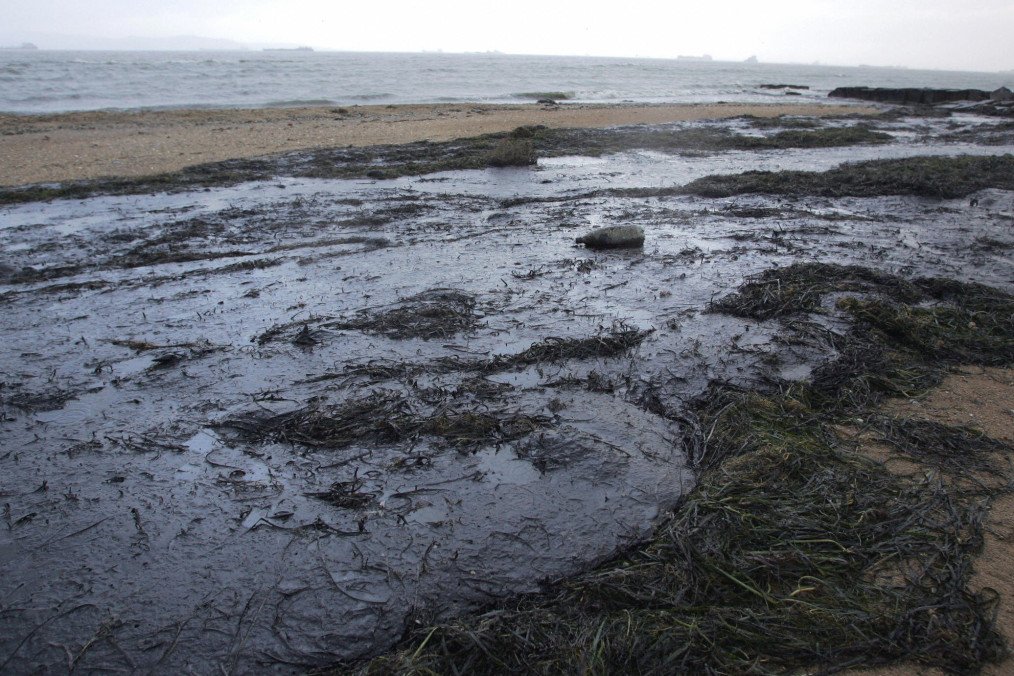 Greenpeace Sounds Alarm Over Kerch Strait Oil Spill