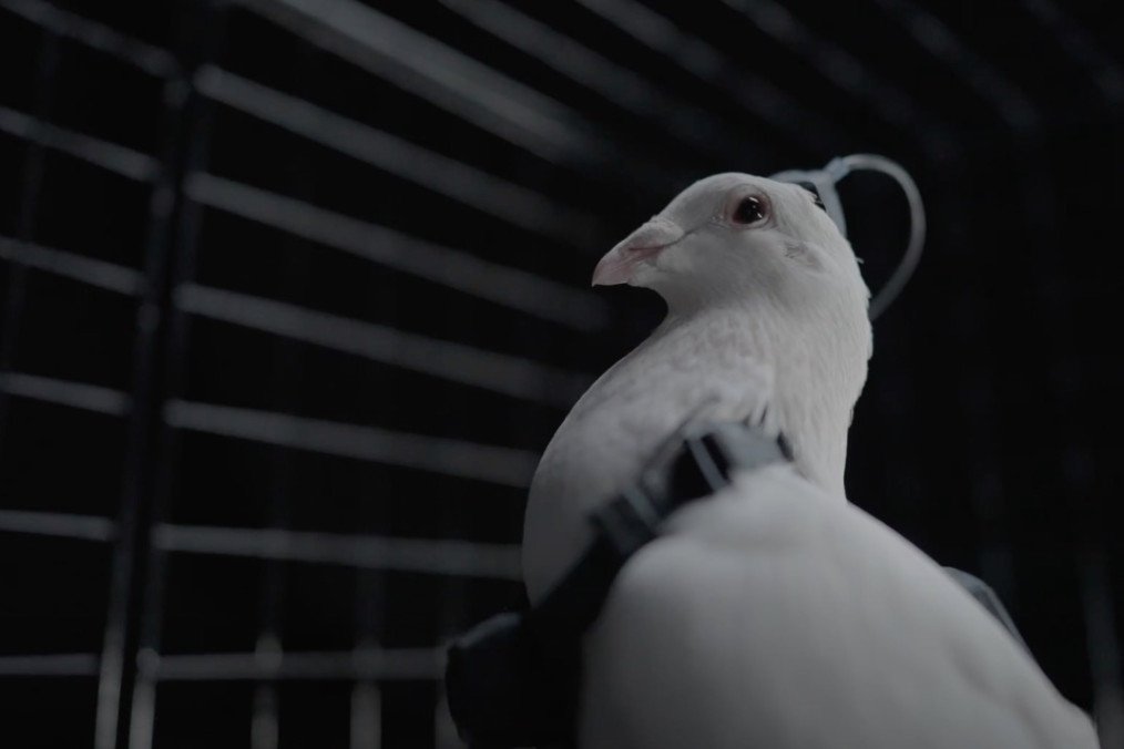 ultimas noticias de la guerra en ucrania rusia ucrania noticias ucrania rusia noticias rusia moscu drone drones drones uav drones fpv