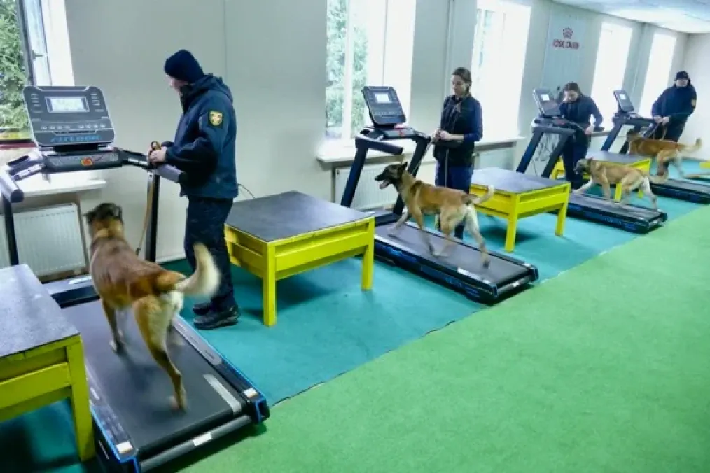 New Mine-Detection Dog Training Facility Opens in Ukraine With Norway’s Support