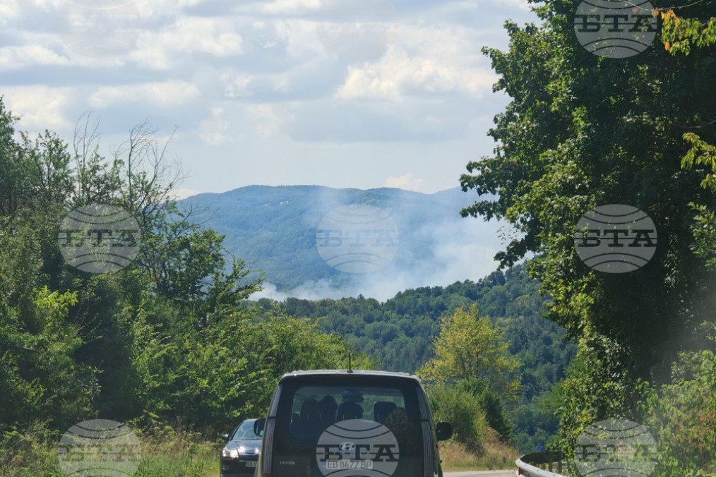 Smoke rises over a wooded area near the site of a fire at a Bulgarian military facility. (Source: BTA) Smoke rises over a wooded area near the site of a fire at a Bulgarian military facility. (Source: BTA)