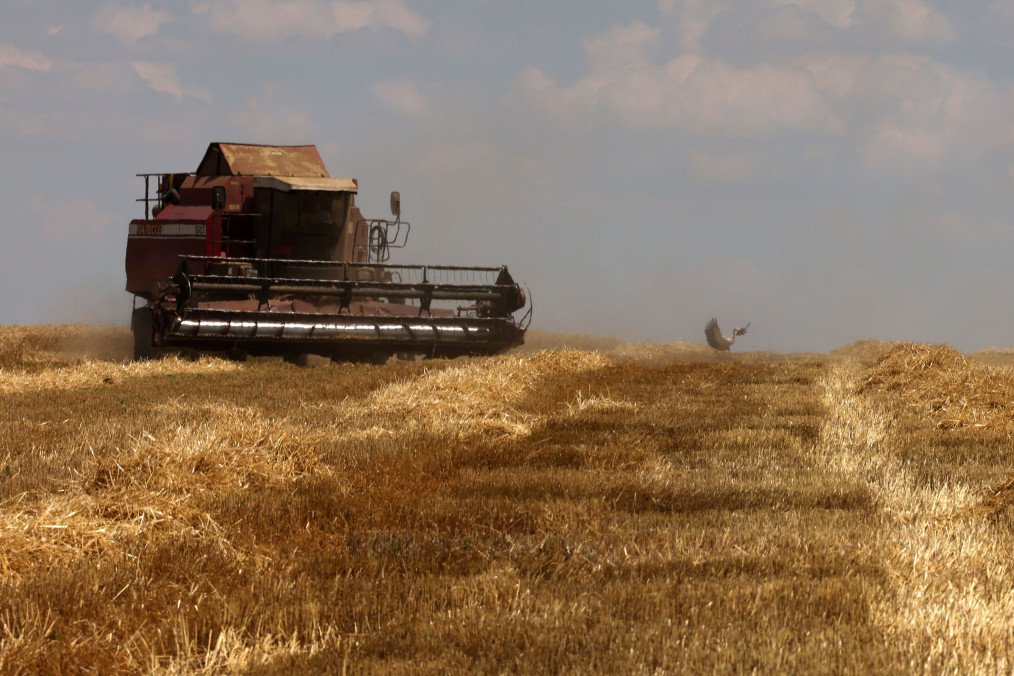 Norway Allocates $4.5 Million to “Grain from Ukraine” Initiative