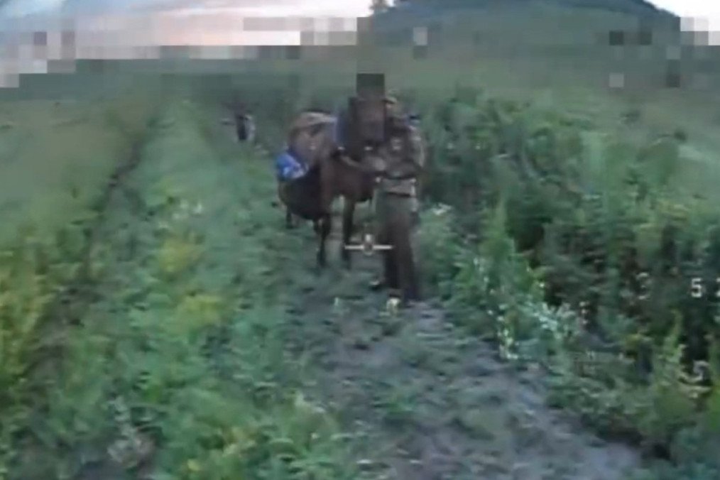 Ukraine Destroys Russian Cavalry Unit in First Battlefield Use Since WWII Ukraine Destroys Russian Cavalry Unit in First Battlefield Use Since WWII