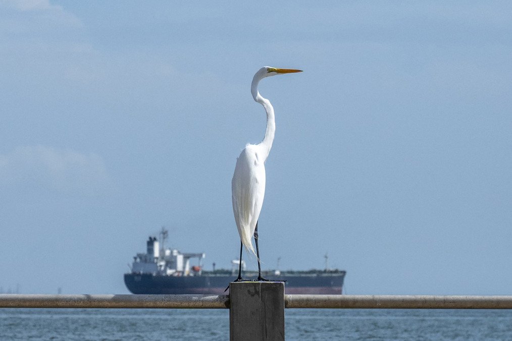 Crude oil tanker Blasa from Panama in the background on Lake Maracaibo in Maracaibo, Venezuela, on February 1, 2026. (Source: Getty Images) Crude oil tanker Blasa from Panama in the background on Lake Maracaibo in Maracaibo, Venezuela, on February 1, 2026. (Source: Getty Images)