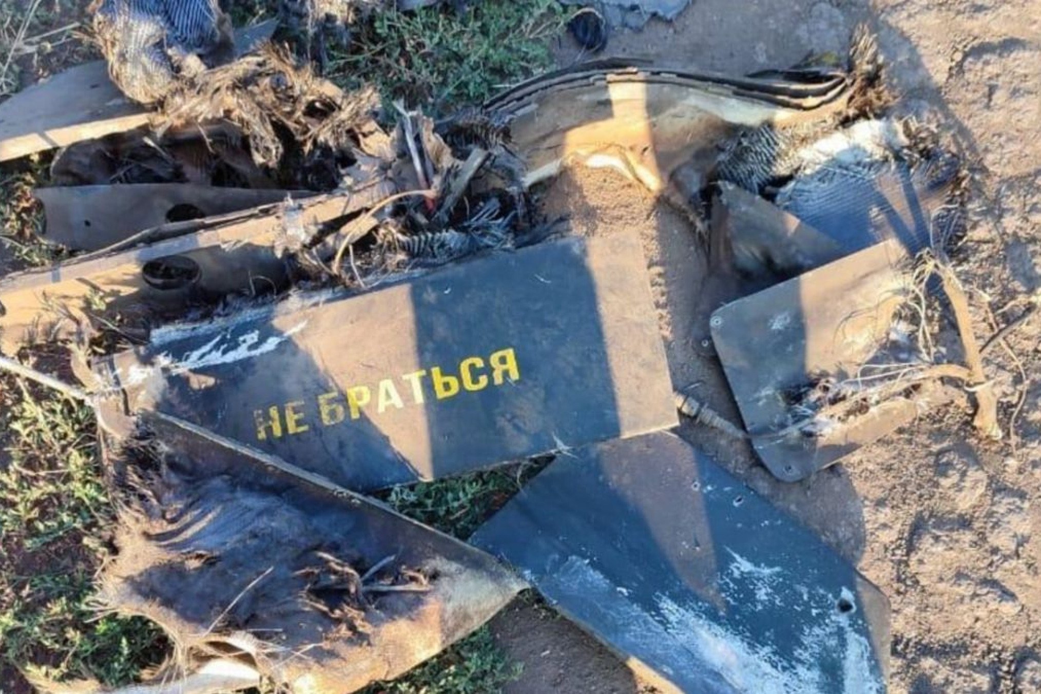 Russian Gerbera Drone Downed by Ukrainian FPV — UNITED24 Media