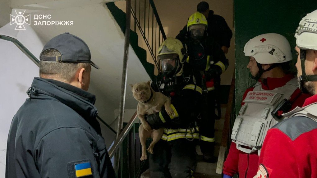 Consecuencias de un ataque aéreo ruso en Zaporiyia, donde al menos 13 personas resultaron heridas, el 22 de octubre de 2025. (Fuente: SES)