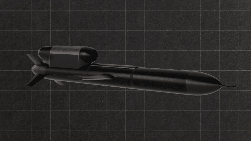 Illustrative image of Ukrainian “Flamingo” missile. (Source: UNITED24 Media/Oleksandr Manukians)