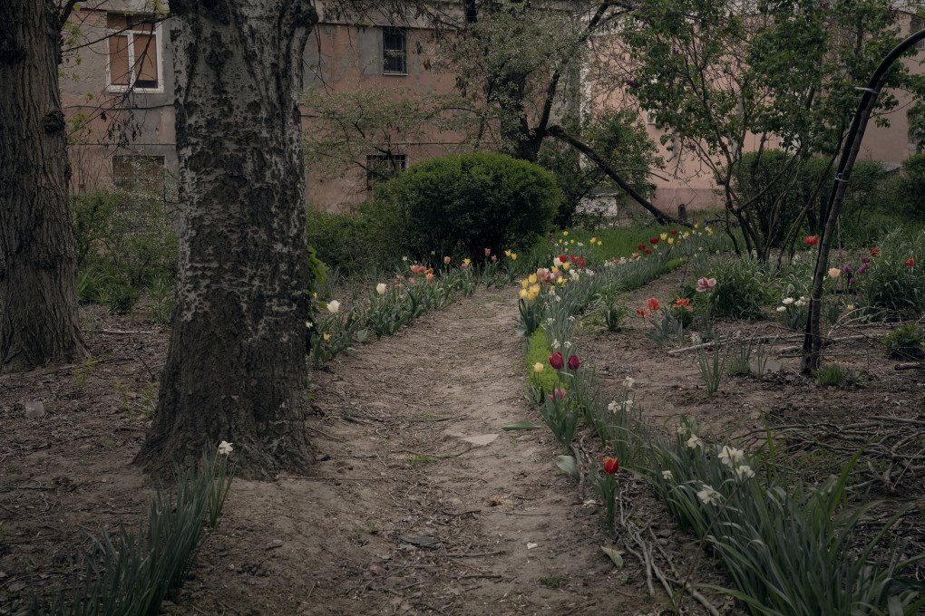 A corridor of tulips in the kill zone of Kherson. May 2026. Photo: Joshua Olley / UNITED24 Media.