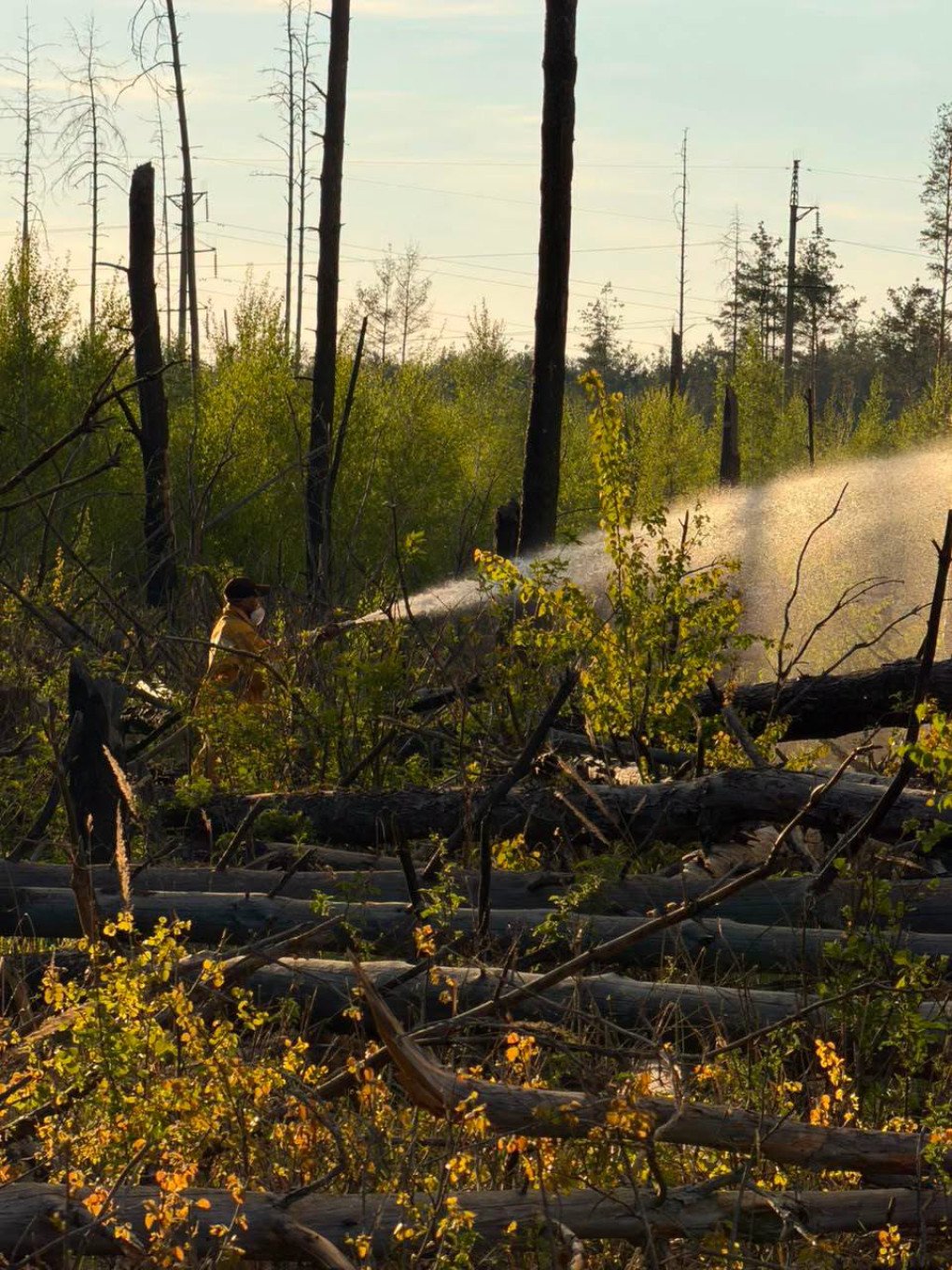 A firefighter works to extinguish an active wildfire in the Chornobyl exclusion zone following a Russian drone strike. (Source: SAEZ)