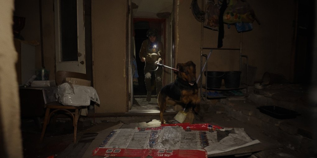 Still from the film “RESCUE.” (Source: Ukrainian organization Every Animal)