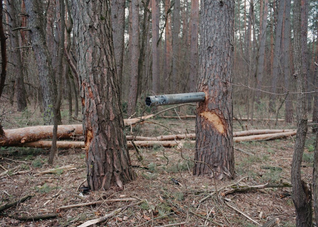 A missile lodged in a tree, a stark reminder of Russia’s war’s reach. Photo: Kostiantyn Huzenko A missile lodged in a tree, a stark reminder of Russia’s war’s reach. Photo: Kostiantyn Huzenko