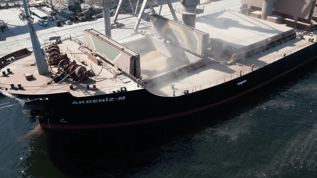 Grain being loaded aboard the AKDENIZ-M at a Ukrainian port. Photo: Ukrainian Sea Ports Authority (USPA) Grain being loaded aboard the AKDENIZ-M at a Ukrainian port. Photo: Ukrainian Sea Ports Authority (USPA)