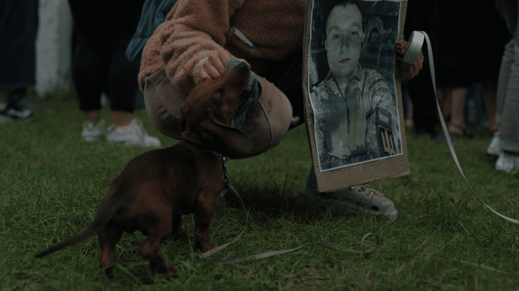 Marsyk, a dog Yuliia’s family want to present to their loved one. Photo: UNITED24 Media Marsyk, a dog Yuliia’s family want to present to their loved one. Photo: UNITED24 Media