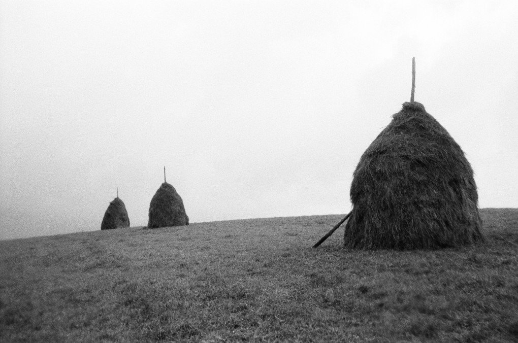 For its future projects in Ukraine, the Charitable Foundation plans to build a dedicated facility in the Carpathian Mountains. Photo: Josh Olley/ UNITED24 Media
