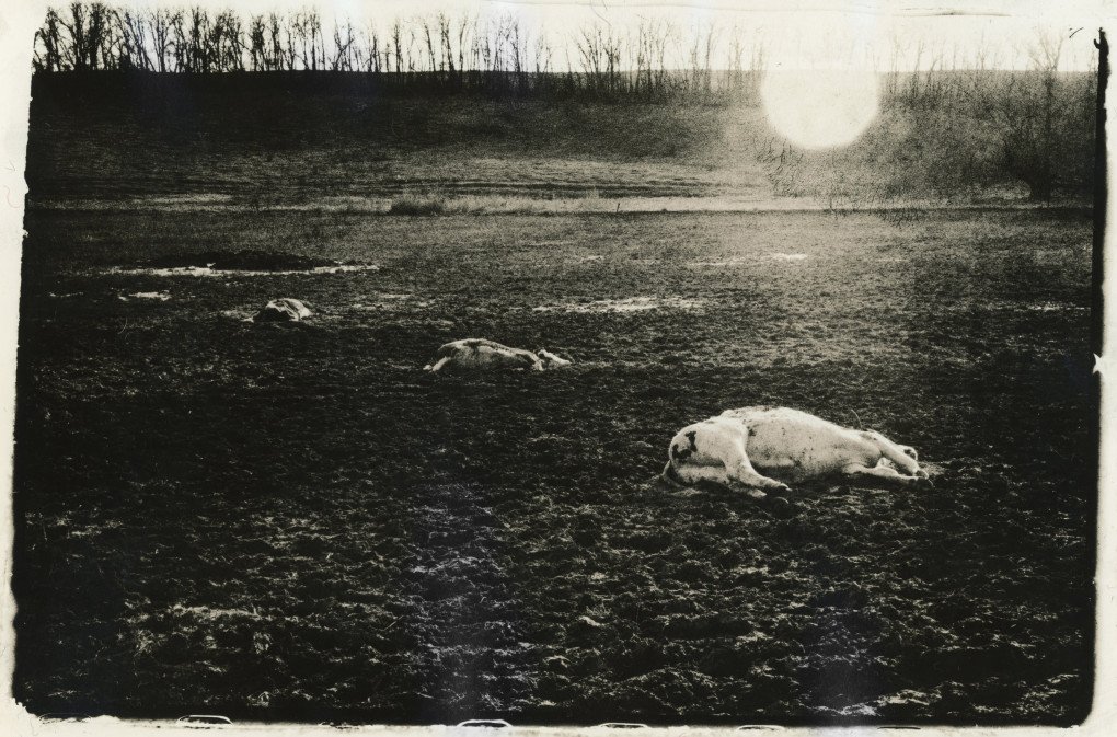 Documentation of the war (©Vladyslav Krasnoshchok)