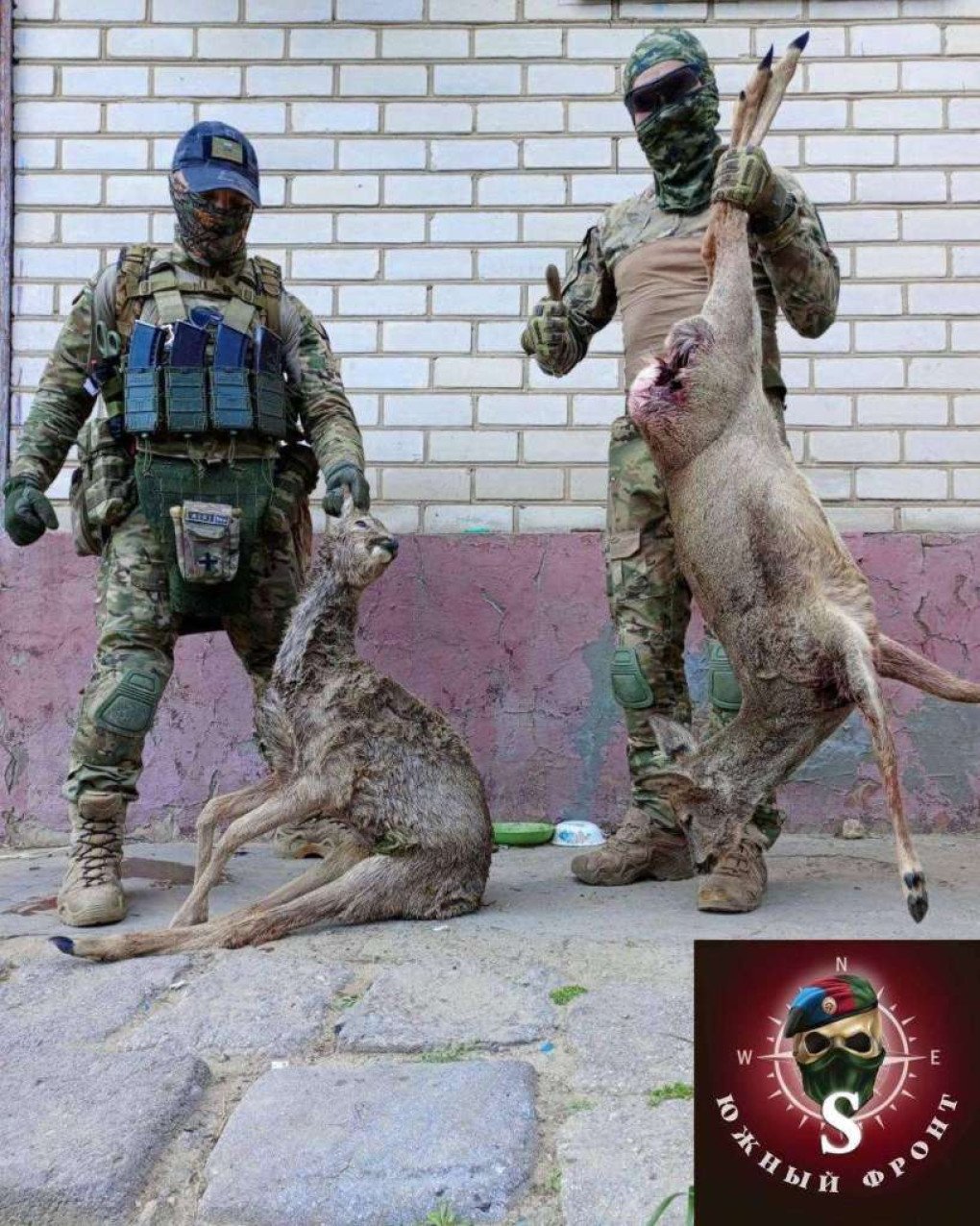 Russian soldier posing with a killed Roe deer. (Source: UAnimals/ Facebook)