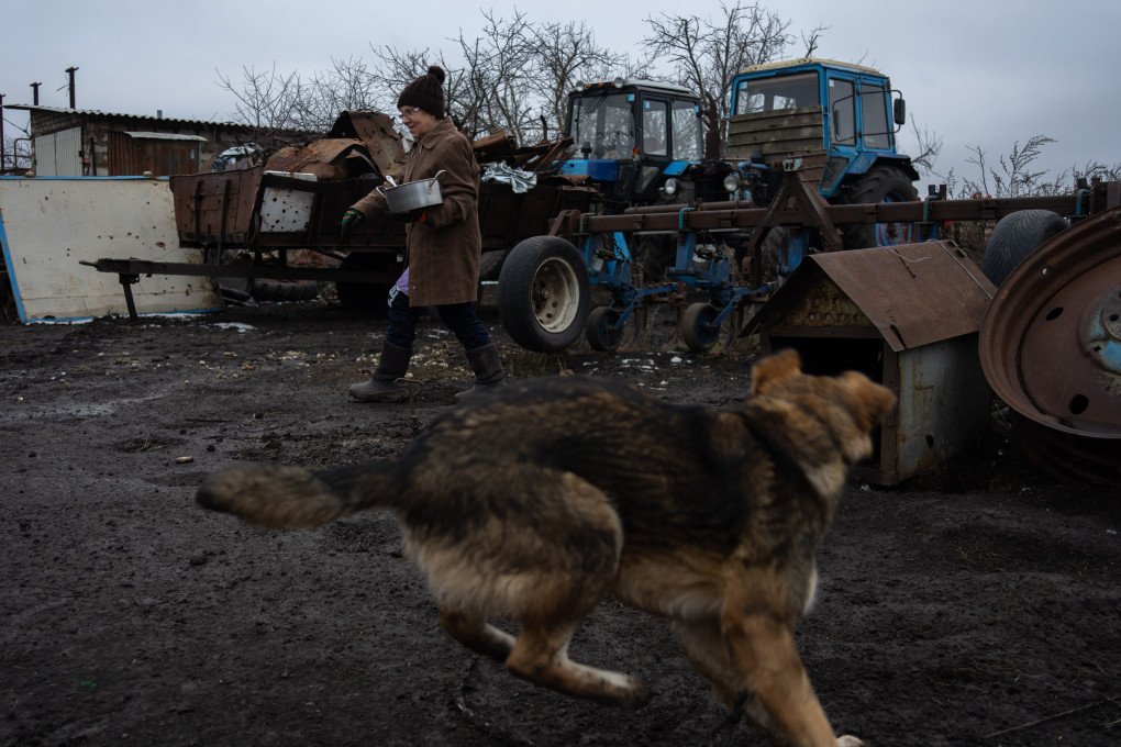 The family dog playfully jumps into the frame. Photo: Oleksii Filippov The family dog playfully jumps into the frame. Photo: Oleksii Filippov