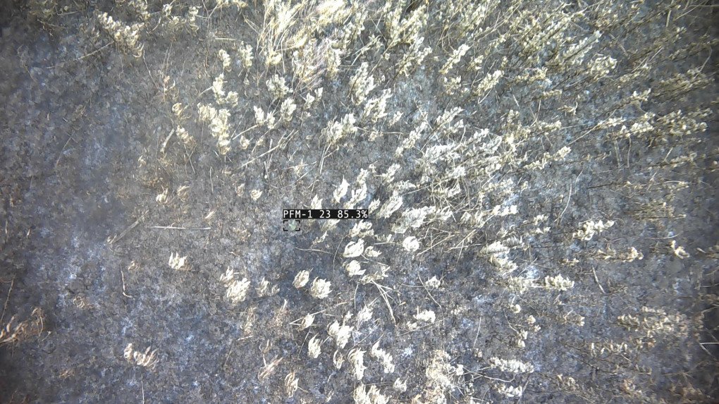 Detected mines after a Spinner drone scan. (Source: Aliand Systems)