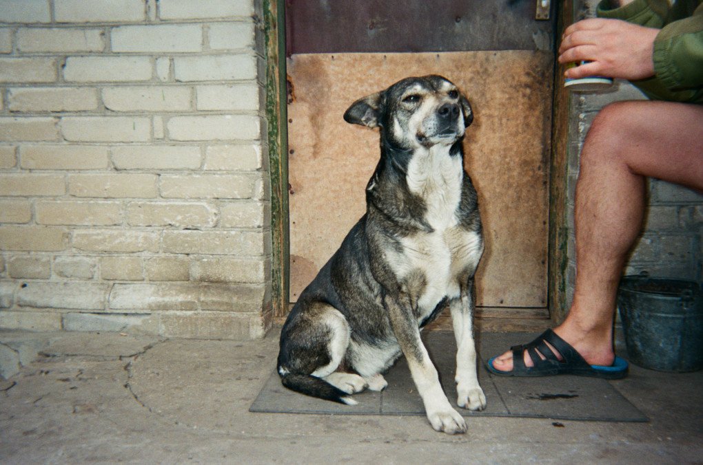 Photo by Yura/Duncan