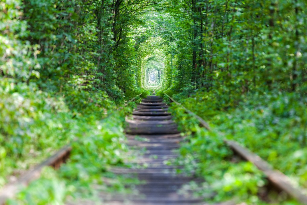Tunnel of Love in Ukraine’s Rivne region. (Source: Getty Images) Tunnel of Love in Ukraine’s Rivne region. (Source: Getty Images)